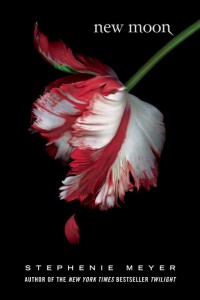 new-moon3.jpg